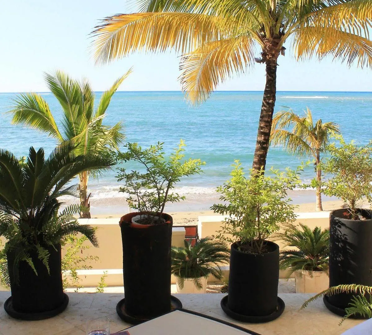 Beach Palace Cabarete 0*,  Dominican Republic